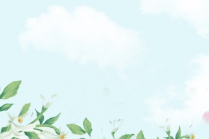 母亲节清新手绘banner