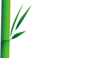 端午节竹子竹叶竹筒