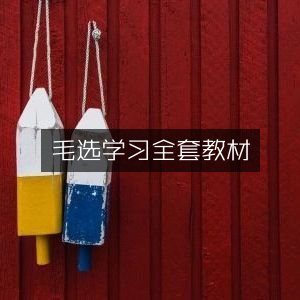 毛选全套学习教材精编