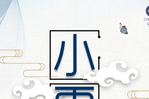创意小雪二十四节气扁平海报