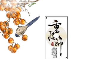 重阳节柿子树枝手绘元素图