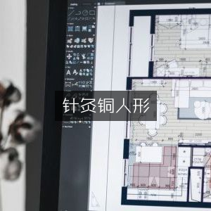 针灸铜人形，探寻古典文集之瑰宝