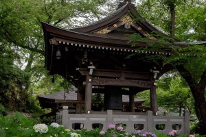 宝塔 寺庙 绣球花 花 日本 4k壁纸 3840x2160