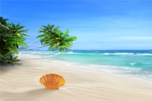 美丽海洋风光淘宝海报背景