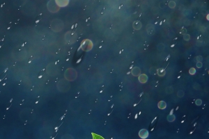 清新雨季海报背景