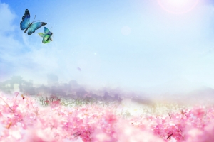 春天文艺景色梦幻渐变蓝色banner