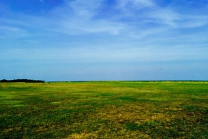 场 天空 草 夏季 4k壁纸 3840x2160