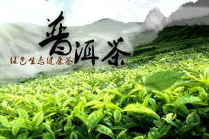 普洱茶茶园风景PSD分层主图背景素材