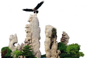 假山