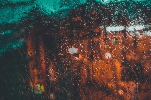 和风细雨 旱苗得雨