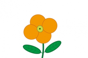 菊花春天可爱