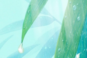 传统二十四节气雨水海报背景