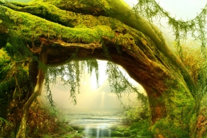 梦幻仙境卡通背景
