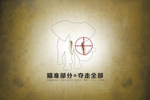 保护野生动物公益宣传海报