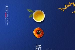 简约霜降创意海报