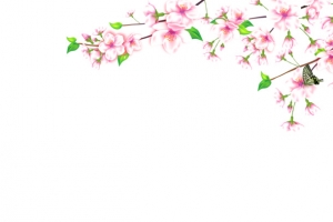 清新唯美桃花
