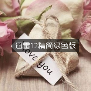 迅雷12精简绿色无广告版