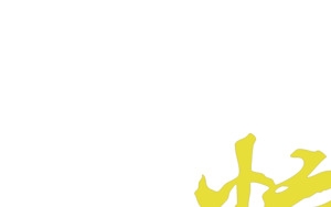 粽情粽礼黄色字体