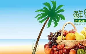水果新鲜海边椰树小岛背景banner
