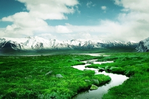 冰川雪山下的绿草地