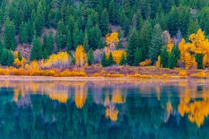 森林 树木 湖泊 水 反射 景观 4k壁纸 3840x2160