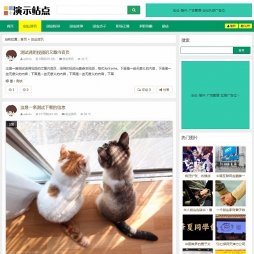 新闻博客下载站首选：帝国CMS自适应HTML5响应式整站模板，手机友好
