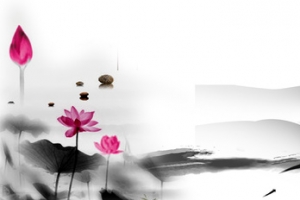 美食饮食中国风荷花水墨画背景banner