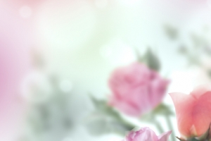 鲜花背景