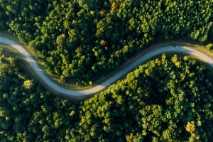 森林公路 航拍风景4k壁纸护眼