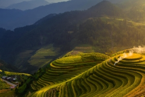梯田风光背景