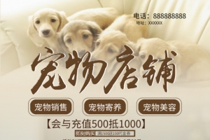 店铺,海报,创意,宠物