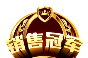 销售冠军