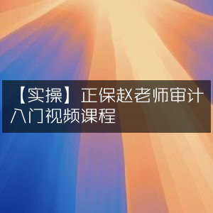 实操指南，正保赵老师精讲审计入门视频课程