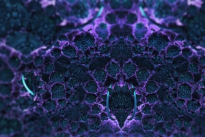 分形 结构 3d 紫色 抽象 4k壁纸 3840x2160