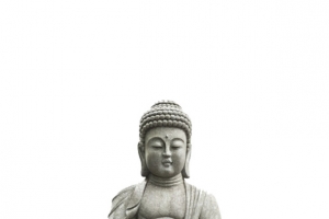 矢量菩萨实物