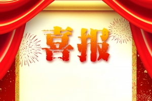 喜庆高考喜报贺报光荣榜金榜题名海报