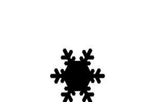 雪花形态展示2