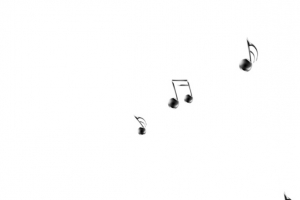 多个黑色小型音符