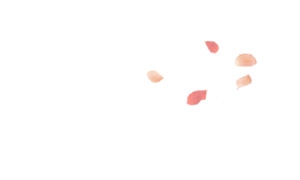 花瓣漂浮物