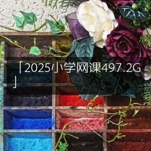 2025年小学网课资源大全，容量高达497.2G