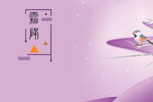 淘宝梦幻二十四节气霜降紫色