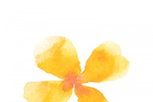 黄色水彩花朵矢量图
