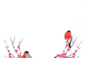 冬季的自然风光