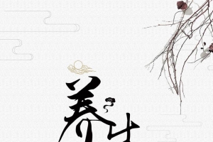 养生中医背景素材