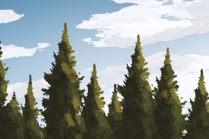 云杉 树木 森林 湖泊 艺术 4k壁纸 3840x2160