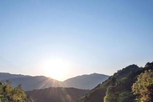 茶树山坡日出光照图