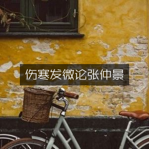 张仲景《伤寒发微论》古典文集