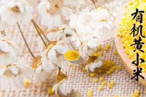 有机小米banner