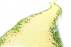 蜿蜒小土路