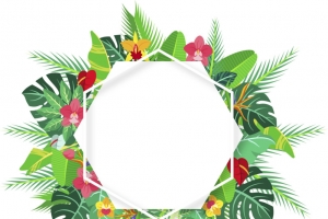 手绘夏日绿植海报边框2